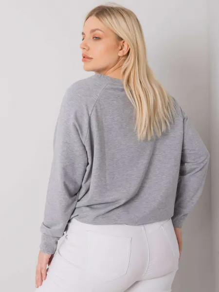 Sweatshirt-RV-BL-7162.12P-grey