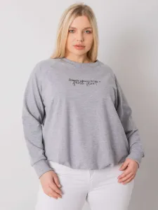 Sweatshirt-RV-BL-7162.12P-grey