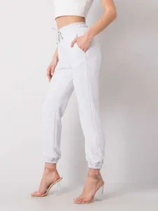 Sweatpants-RV-DR-6120.03P-light gray