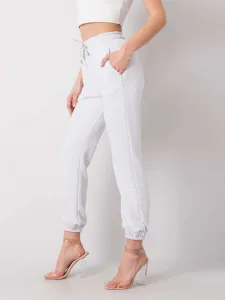 Sweatpants-RV-DR-6120.03P-light gray