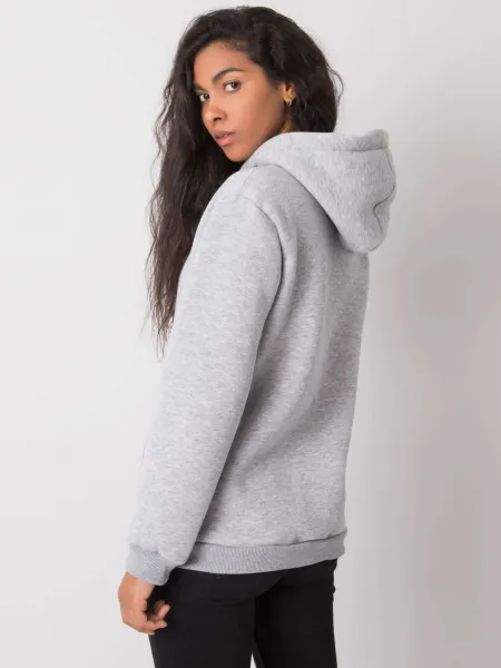 Sweatshirt-RV-BL-6672.99-gray