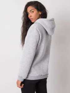 Sweatshirt-RV-BL-6672.99-gray