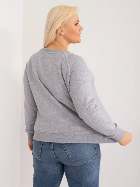 Sweatshirt-RV-BL-6326.02X-gray