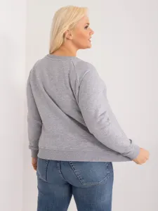 Sweatshirt-RV-BL-6326.02X-gray