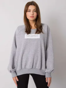 Sweatshirt-EM-BL-652.13P-grey
