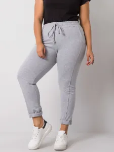 Sweatpants-RV-DR-6300.19-gray