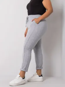 Sweatpants-RV-DR-6300.19-gray