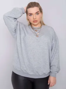 Sweatshirt-RV-BL-6316.16X-gray
