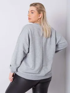 Sweatshirt-RV-BL-6316.16X-gray