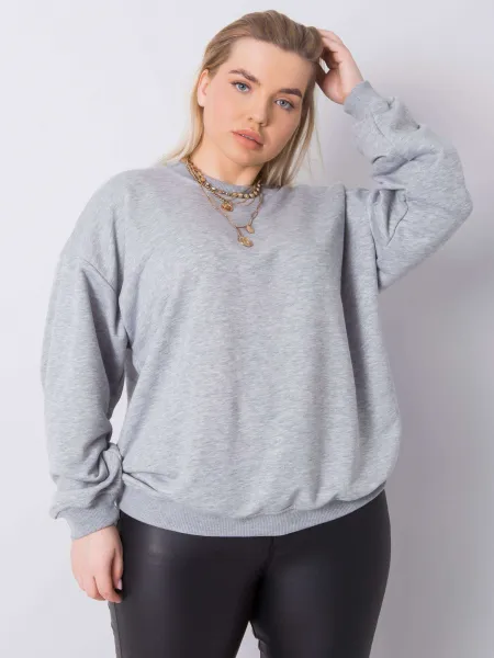 Sweatshirt-RV-BL-6316.16X-gray