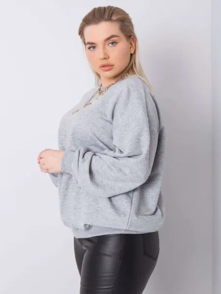 Sweatshirt-RV-BL-6316.16X-gray