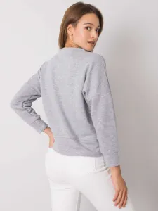 Sweatshirt-RV-BL-6670.14-gray