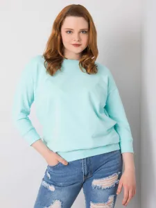 Sweatshirt-RV-BL-5978.06P-mint