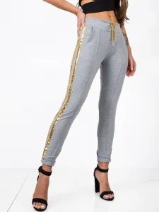 Sweatpants-RV-DR-5408.28P-gray