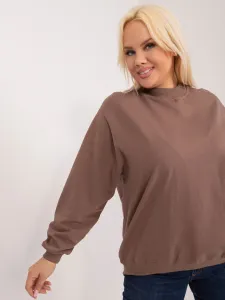 Sweatshirt-RV-BL-6299.11-brown