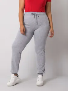 Sweatpants-RV-DR-6301.88-gray