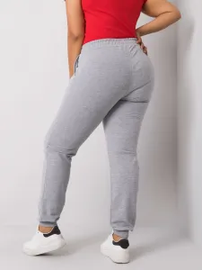 Sweatpants-RV-DR-6301.88-gray