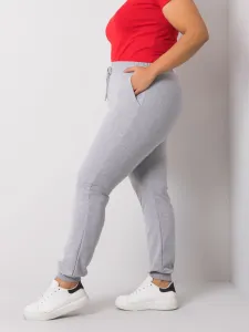 Sweatpants-RV-DR-6301.88-gray