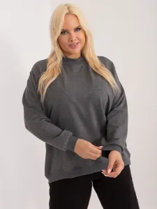 Sweatshirt-RV-BL-6299.11-dark gray