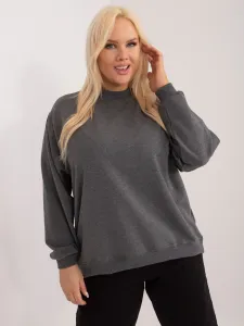 Sweatshirt-RV-BL-6299.11-dark gray