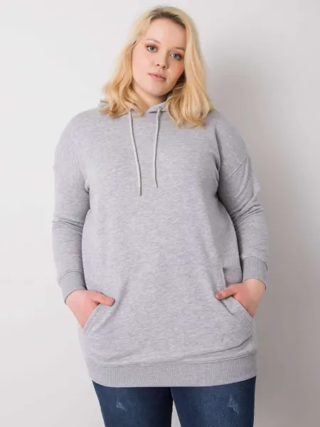 Sweatshirt-RV-BL-6338.19X-gray