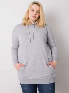 Sweatshirt-RV-BL-6338.19X-gray