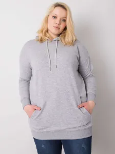 Sweatshirt-RV-BL-6338.19X-gray