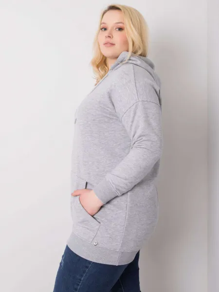 Sweatshirt-RV-BL-6338.19X-gray