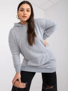 Sweatshirt-RV-BL-6338.19X-gray