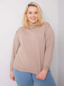 Sweatshirt-RV-BL-6299.11-dark beige