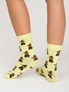 Socks-WS-SR-5602-multicolor
