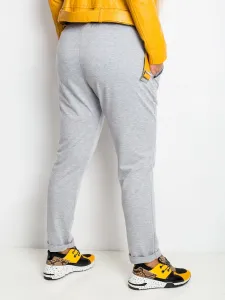 Sweatpants-RV-DR-4765.52-gray