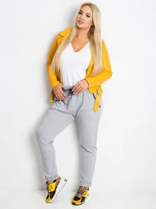 Sweatpants-RV-DR-4765.52-gray