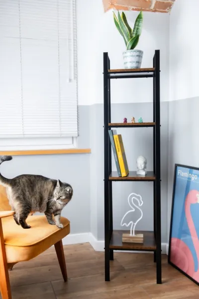 ArtAWD Regál RACK S | AWD02041848