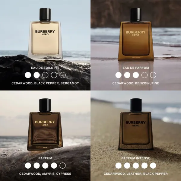 Burberry Hero toaletná voda pre mužov 50 ml