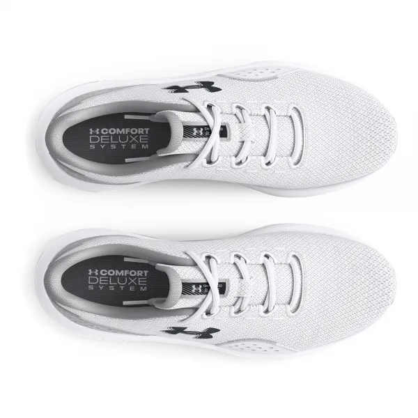 Men's shoes Under Armour Charged Surge 4