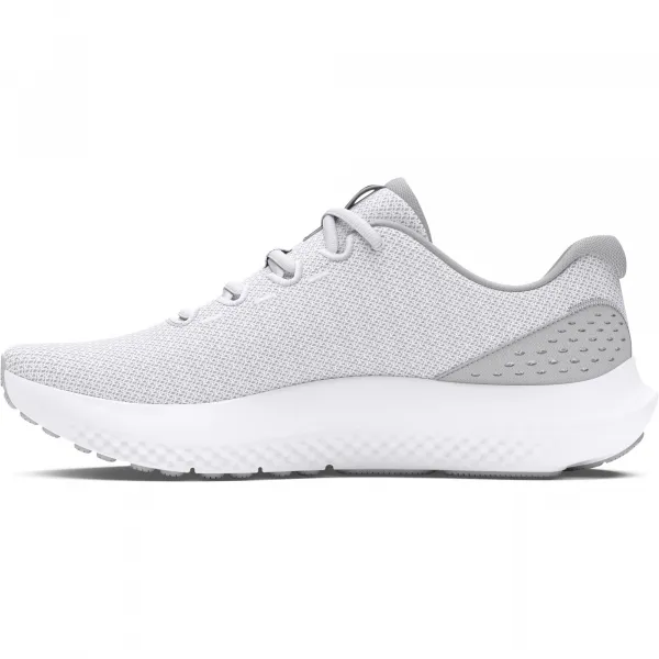 Men's shoes Under Armour Charged Surge 4