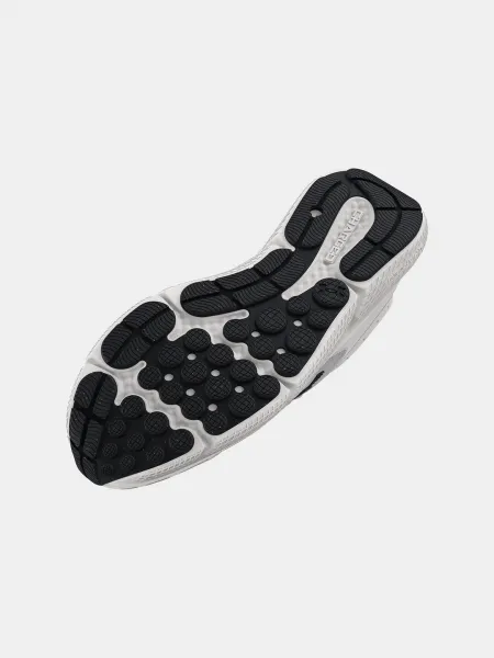 Men's shoes Under Armour Charged Assert 10