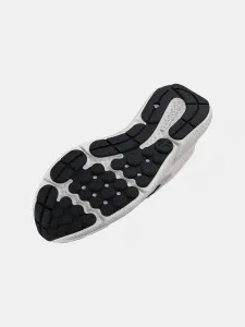 Men's shoes Under Armour Charged Assert 10