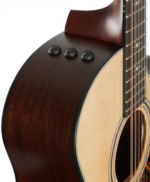 Taylor 354ce