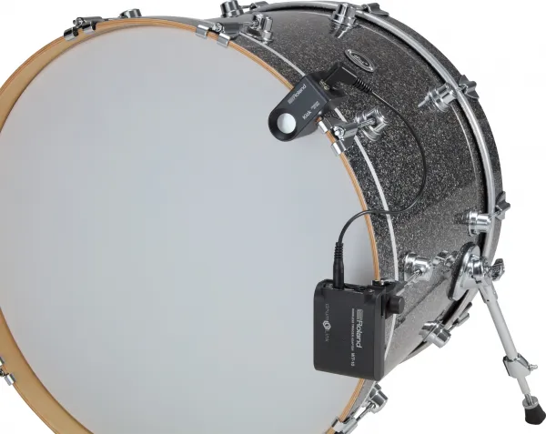 Roland WT-10