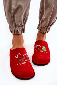 Dámske papuče BIG STAR SHOES