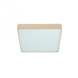 Stropné svietidlo Quattro, štvorcové perleťové stropné svietidlo 35x35, 18W LED, biele tienidlo 4000K