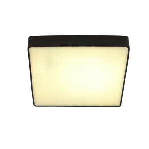 Stropné svietidlo Quattro, štvorcové stropné svietidlo, čierne, 35x35, 18W LED, biele tienidlo 4000K