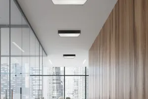 Stropné svietidlo Quattro, štvorcové stropné svietidlo, čierne, 35x35, 18W LED, biele tienidlo 4000K