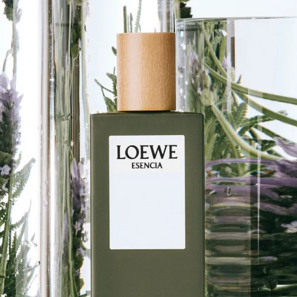 Loewe Esencia toaletná voda pre mužov 100 ml