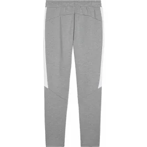 Puma TEAMEVOSTRIPE PANTS Pánske tepláky, sivá, veľkosť