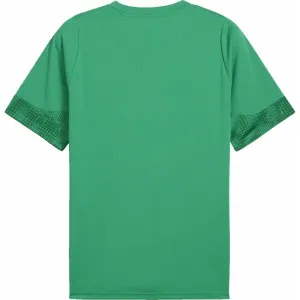 Puma TEAMCUP TRAINING JERSEY Pánsky dres, zelená, veľkosť