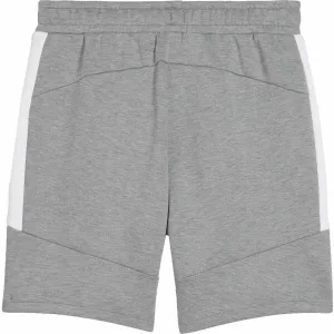 Puma TEAMEVOSTRIPE SHORTS Pánske šortky, sivá, veľkosť