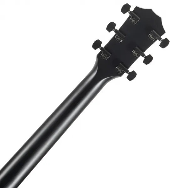 Taylor 214ce Plus Special Edition Grey